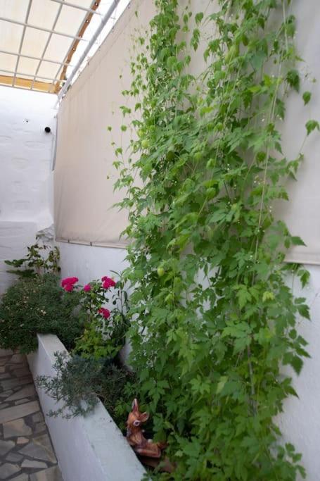 Hlia's House Near The Sea Villa Kambos (Patmos)