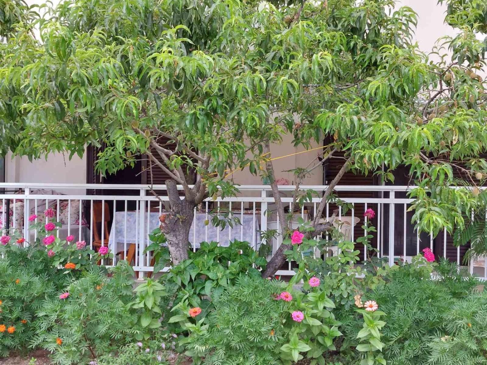 Aloe Apartment Nea Iraklitsa