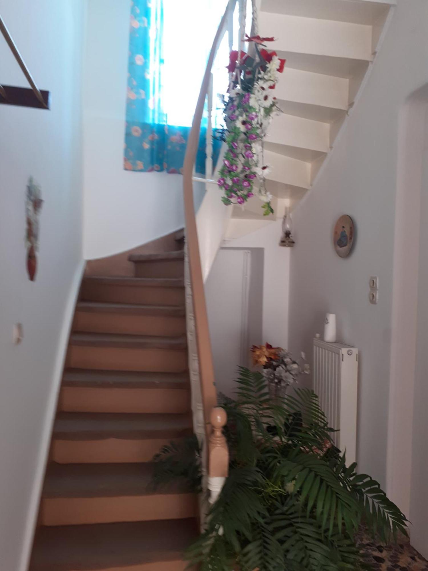 Thalia's Garden