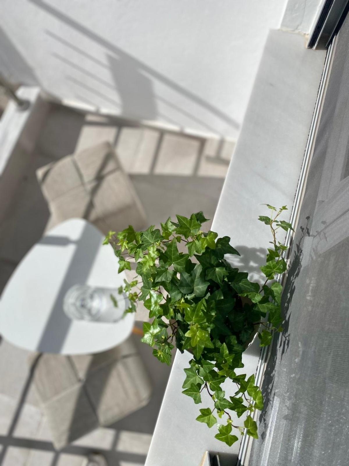 Apartment μοντέρνο Almyra