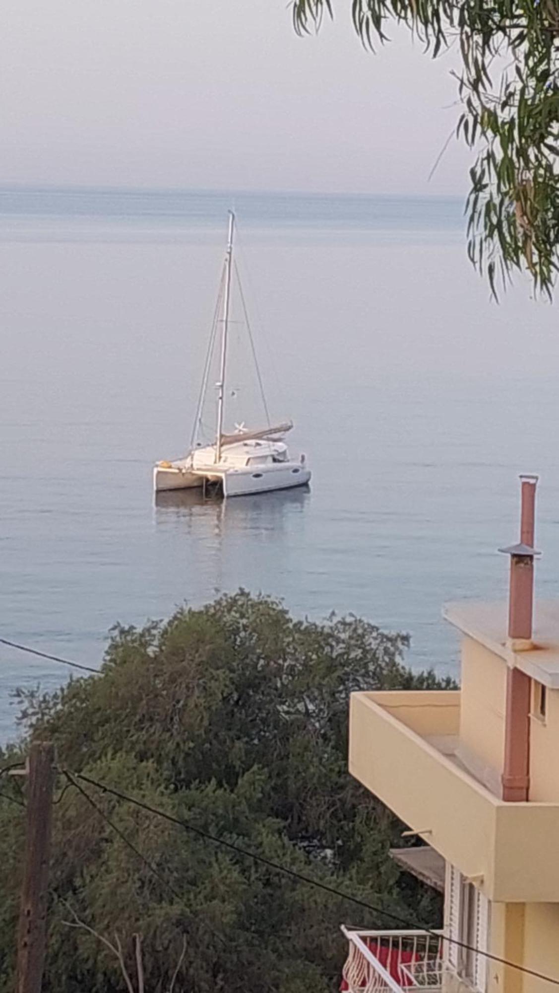 Dolphins * Plomari