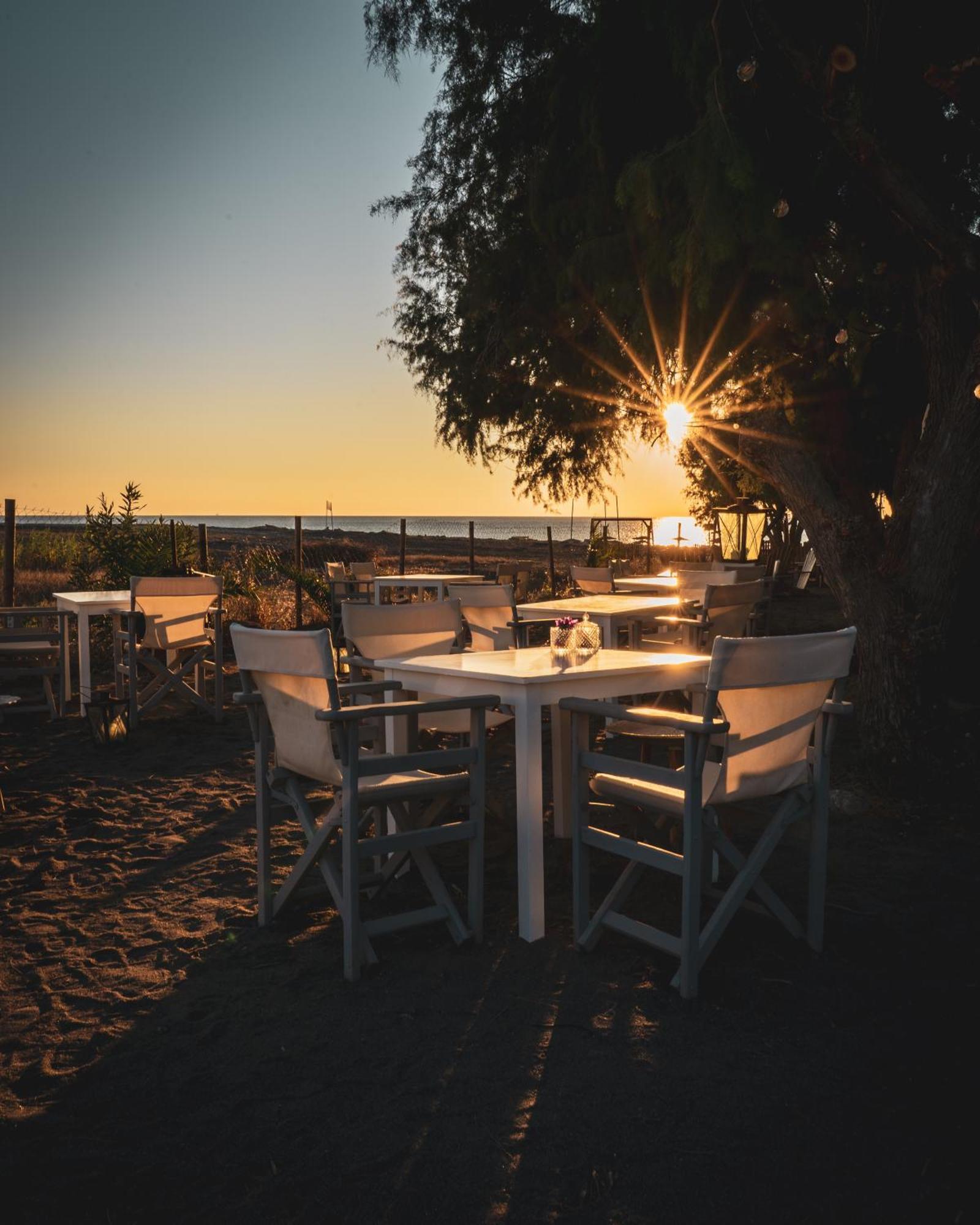 Villa Eco Beachfront *