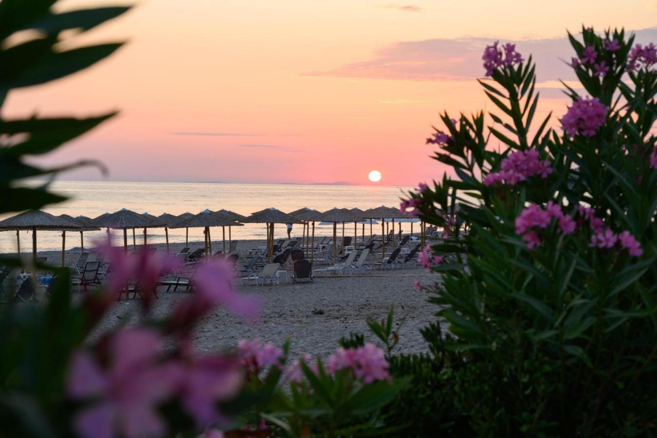 Hotel Ninos Grand 4*