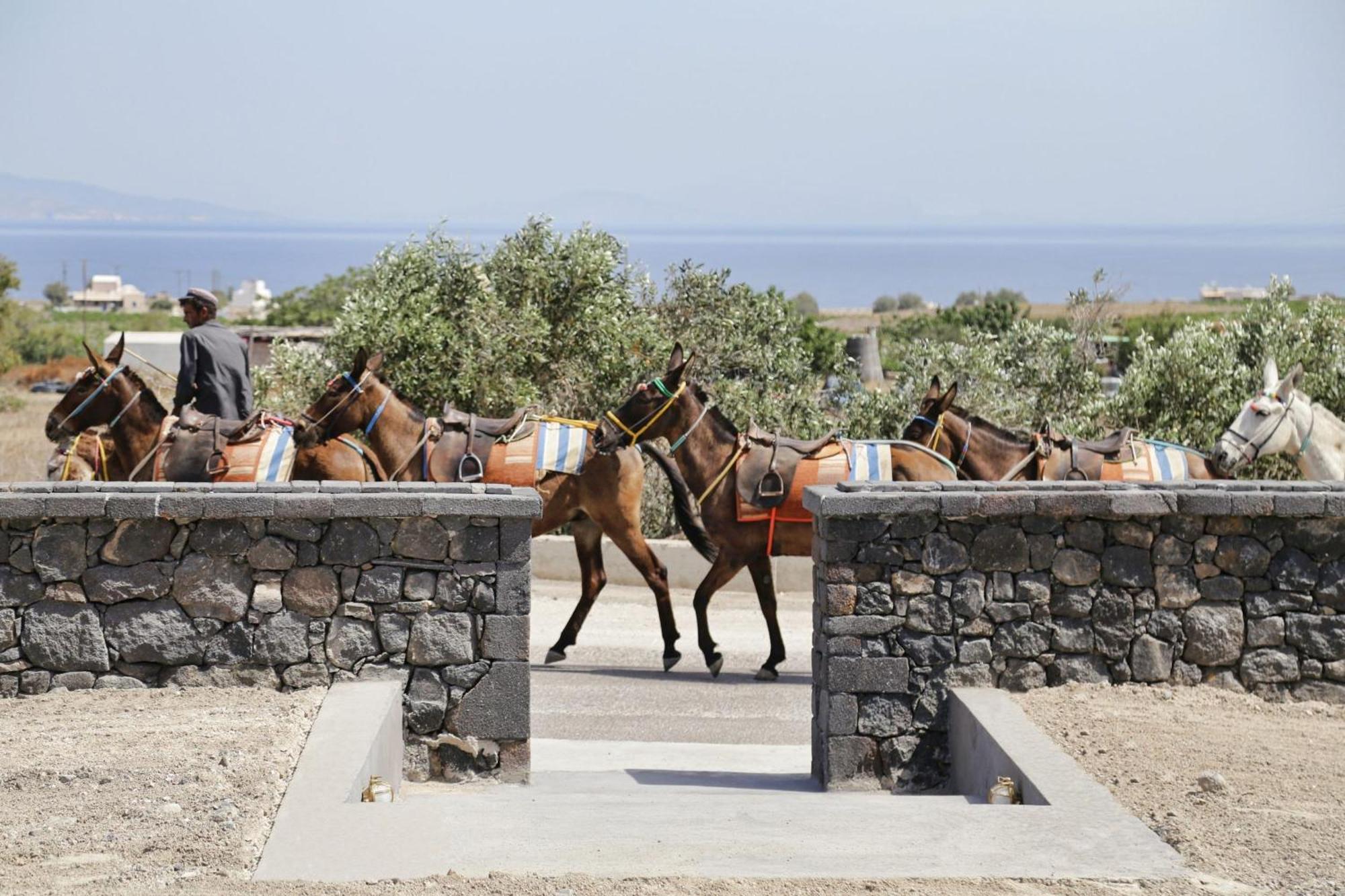 Villa Wonderful Santorini House Nykteri Private Pool Sea Views Plunge Pool Finikia-oia