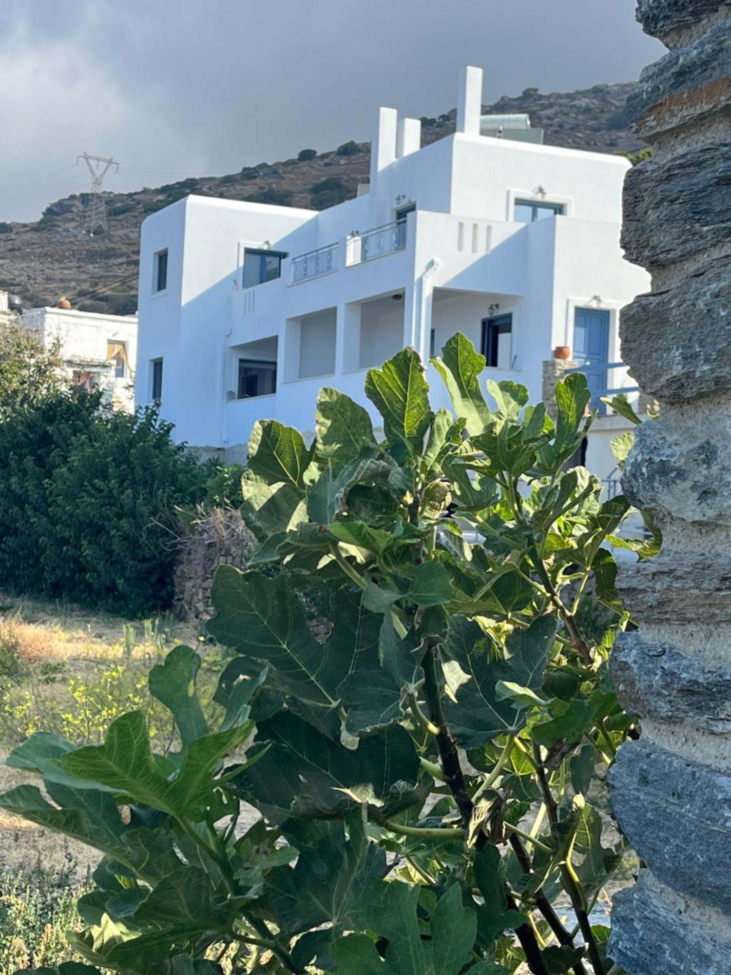 Aegean Mirror, Andros * Aprovaton