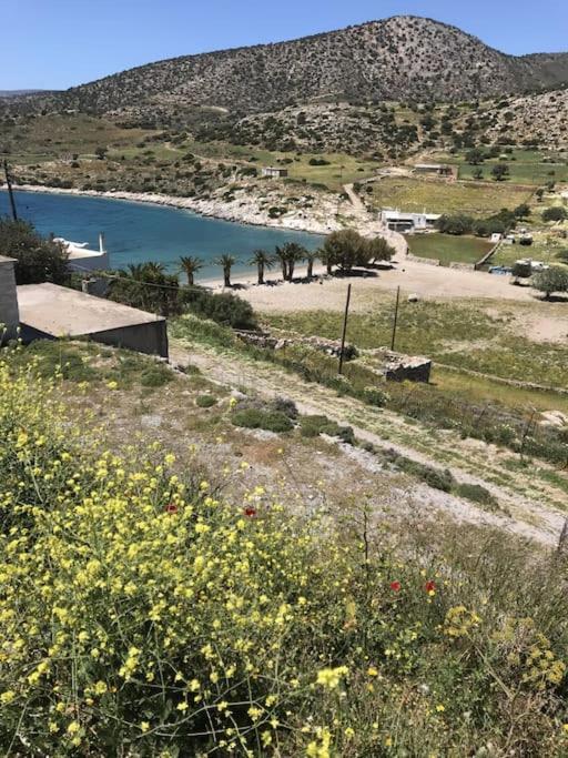 Panermos House Holiday home *