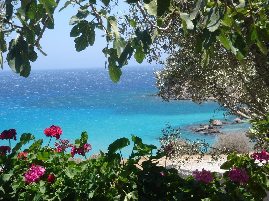 Hotel Poseidon Blue Gastronomy Hotel Afiartis