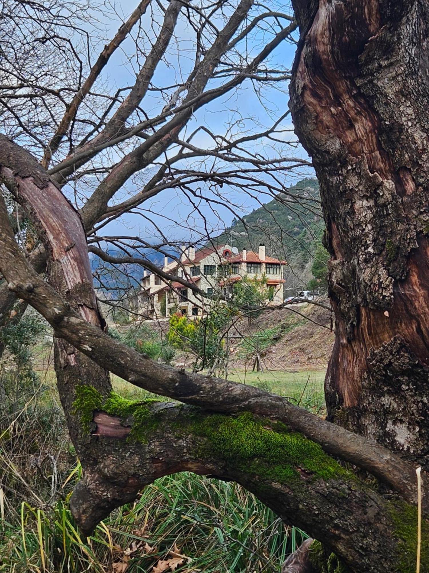 Aparthotel Muntenia And Kalavryta