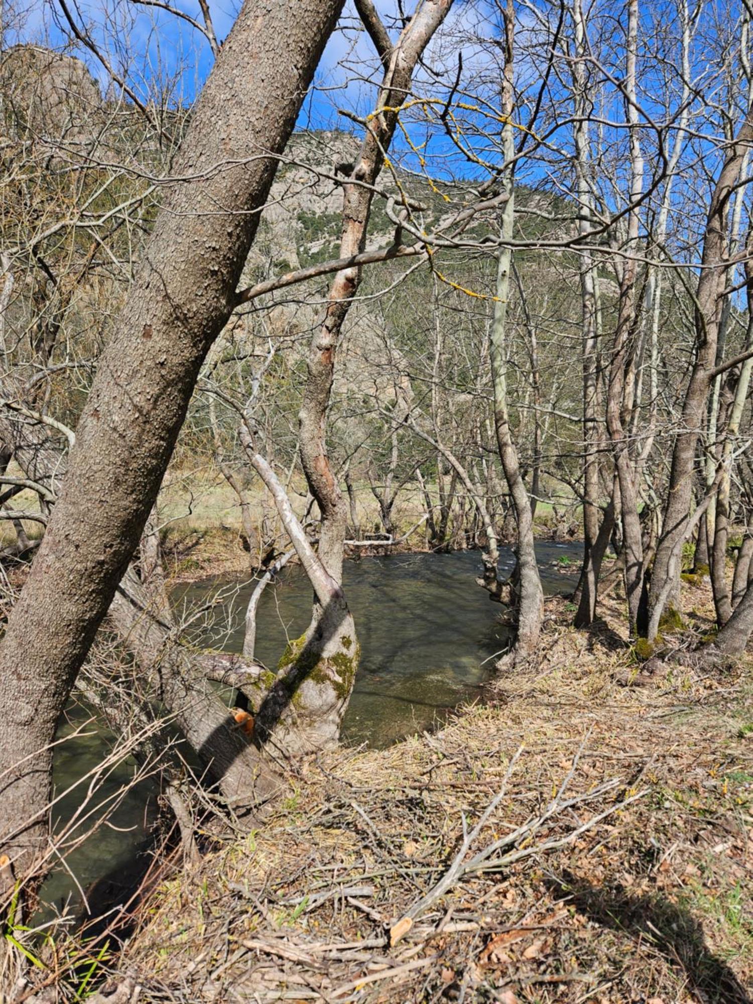 Muntenia And * Kalavryta