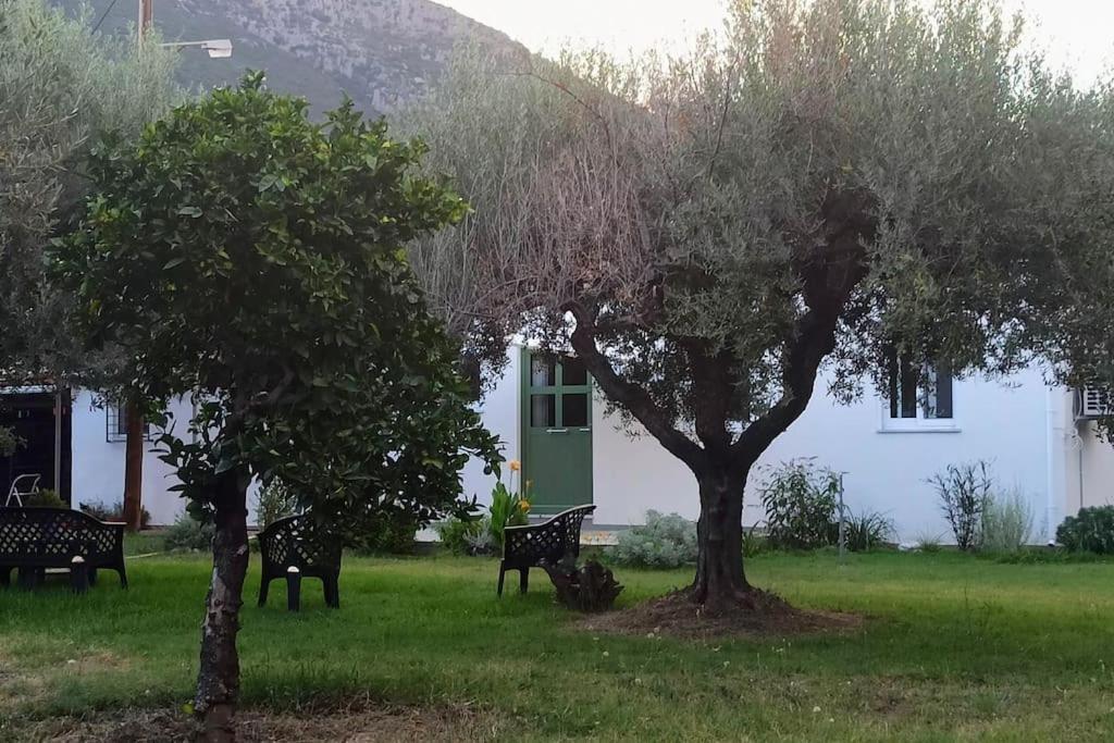 Rizaki In Holiday home
