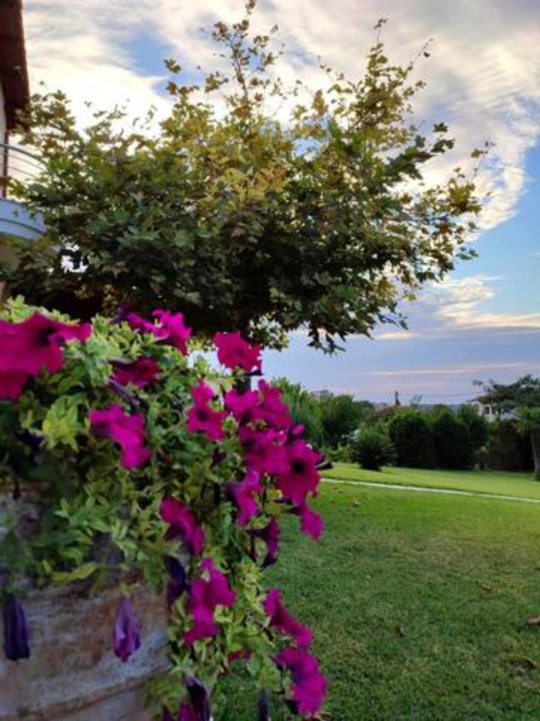 Wonderful With Great View In Posidi-kalandra Kalandra