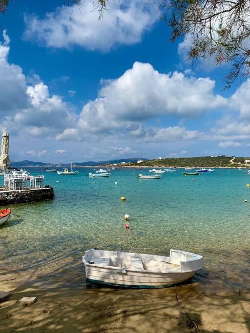 The Blue Lagoon *