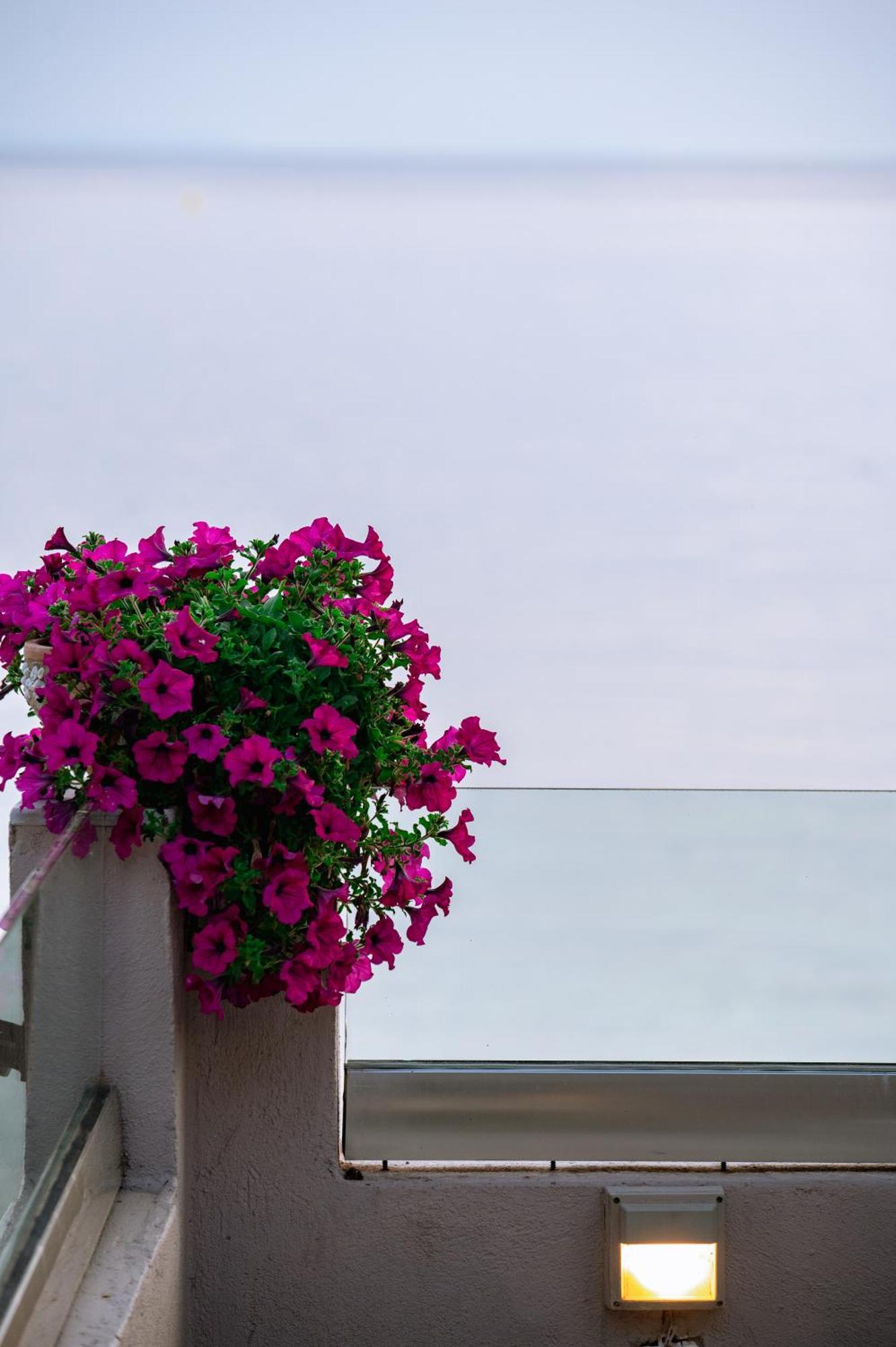 Apartment Ktima Papaoikonomou 2