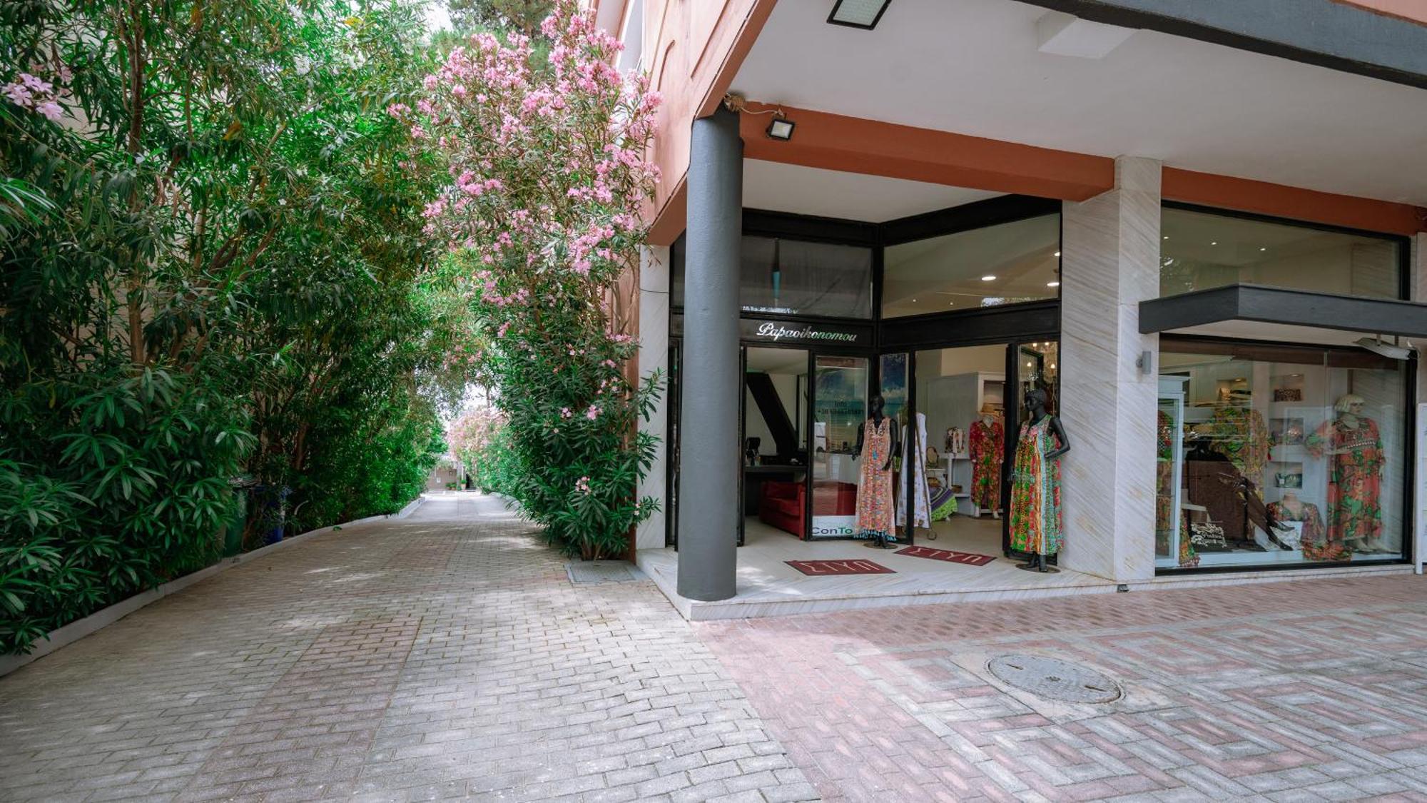 Ktima Papaoikonomou 2 Apartment *