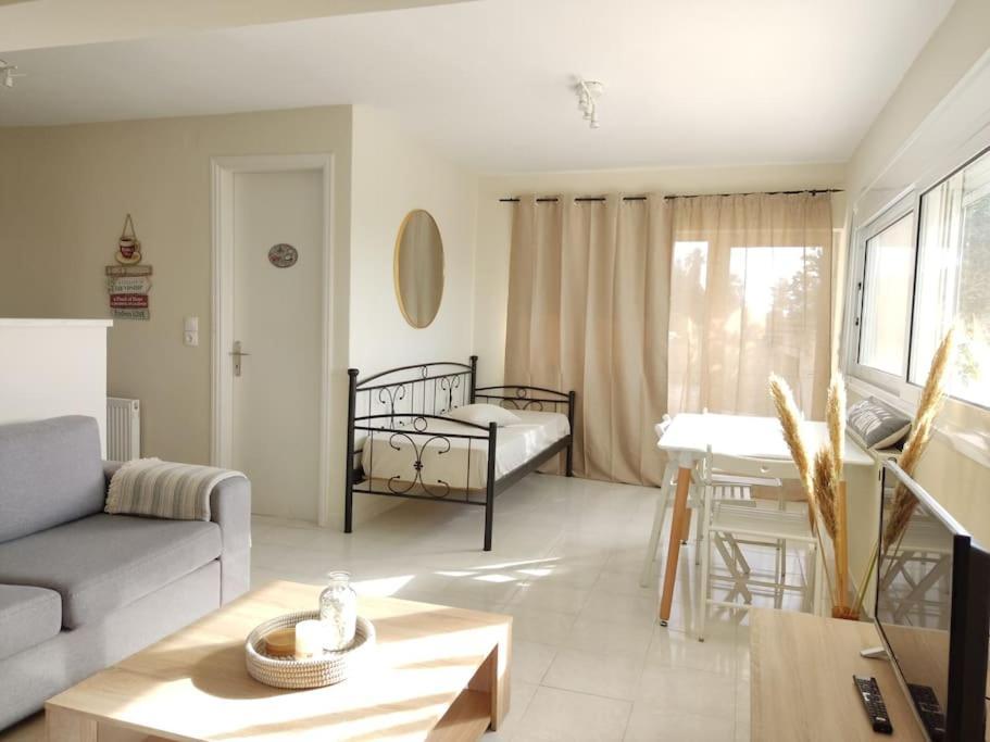 Horizon Seaview Apartment Lassi (Kefalonia)