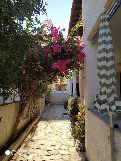 Apartment By The Sea-4-souvala,aigina Vathi (Aegina)