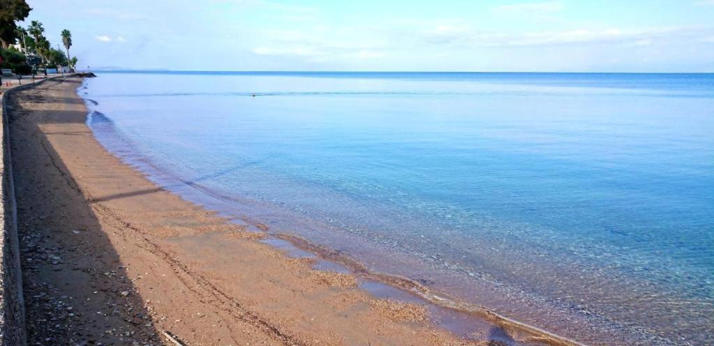 Xanthi's Sea Front * Flambouras