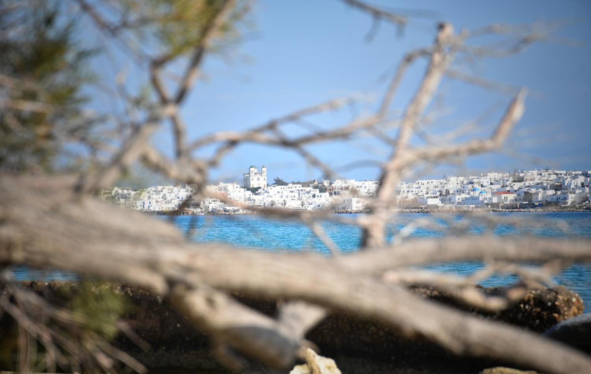 Apartment Koukounari Paros Naousa (Paros)