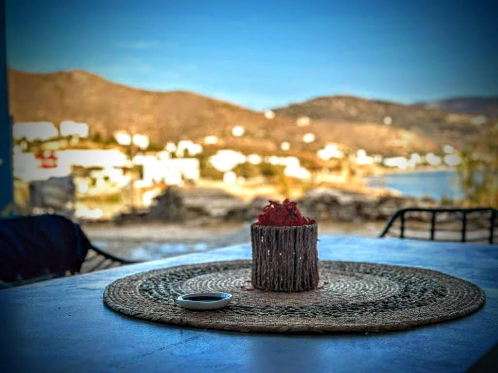 Apartment Andros Elements - Air & Water Gavrio