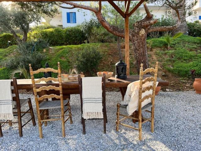 Thalia Bloom Agia Pelagia (Crete)