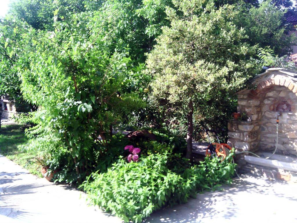 Archontiko Tsaknaki Manolia Guest house Ano Lekhonia