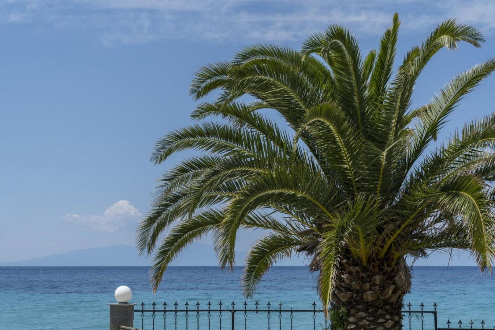 Euphoria Beachfront Holiday Holiday home Kalandra
