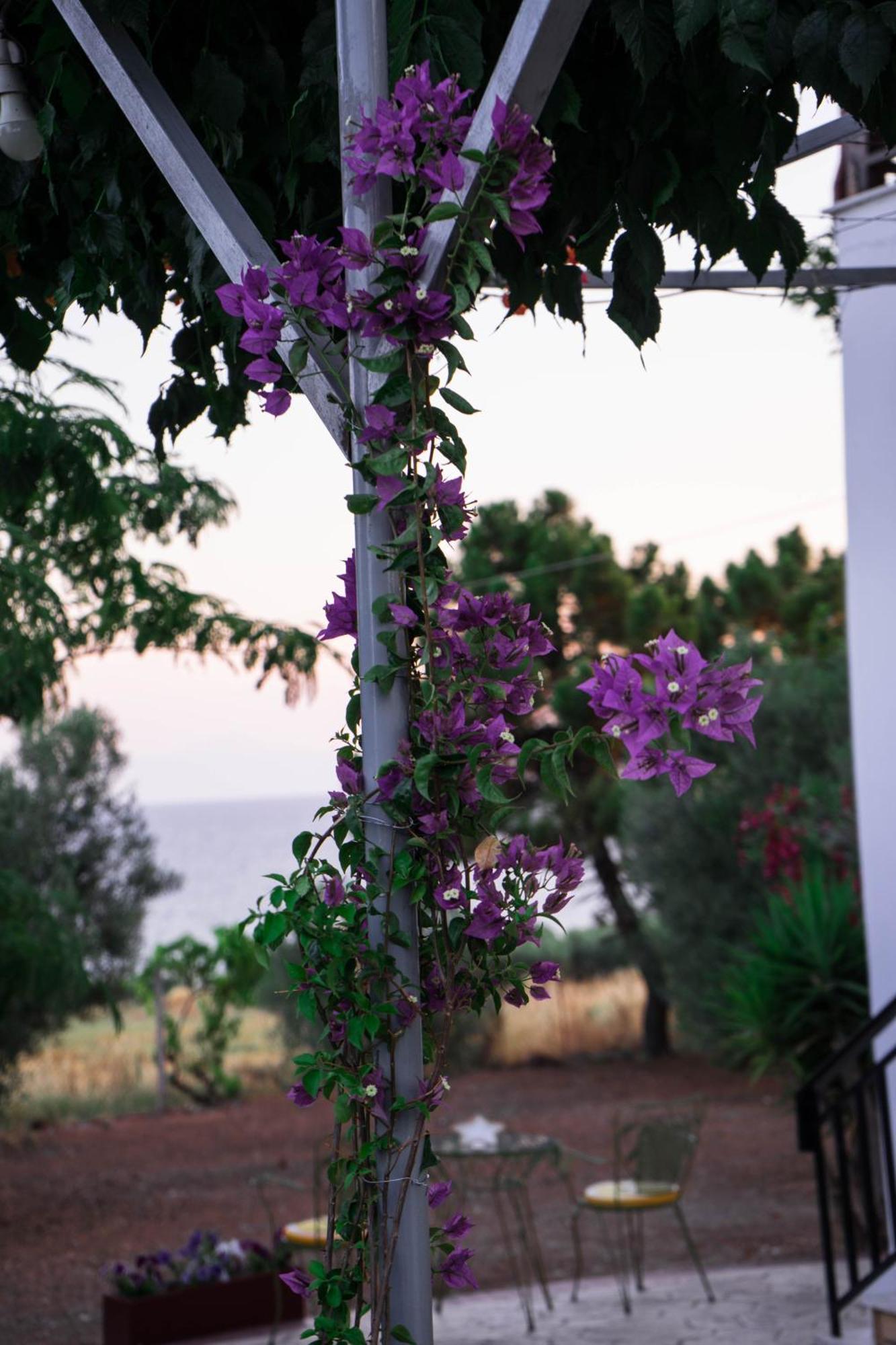 Platanos New Holiday home Nea Moudania