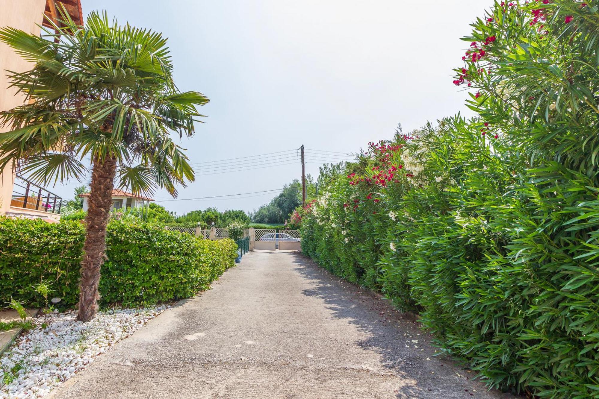 Salonikiou House Sithonia Holiday home *