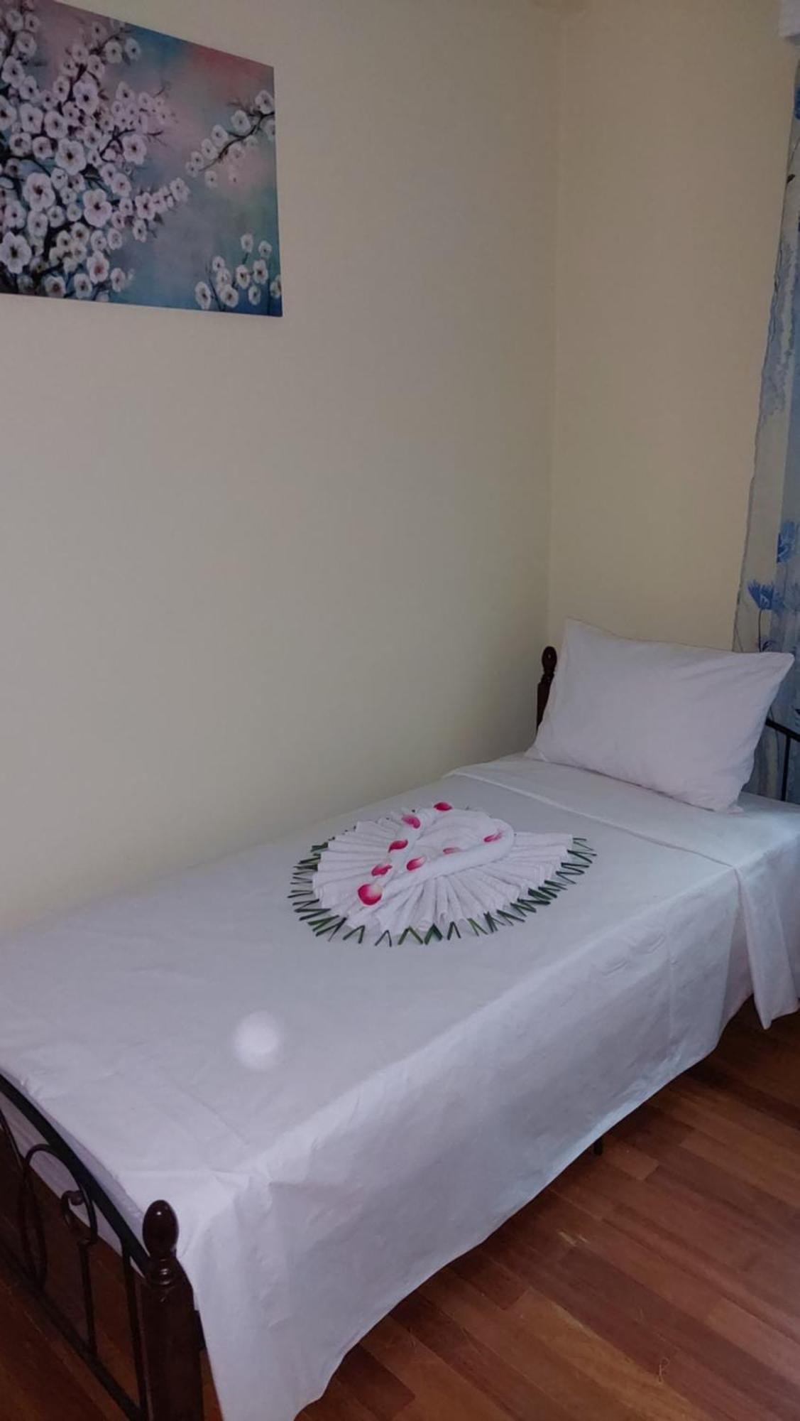 Dolphins Apartment