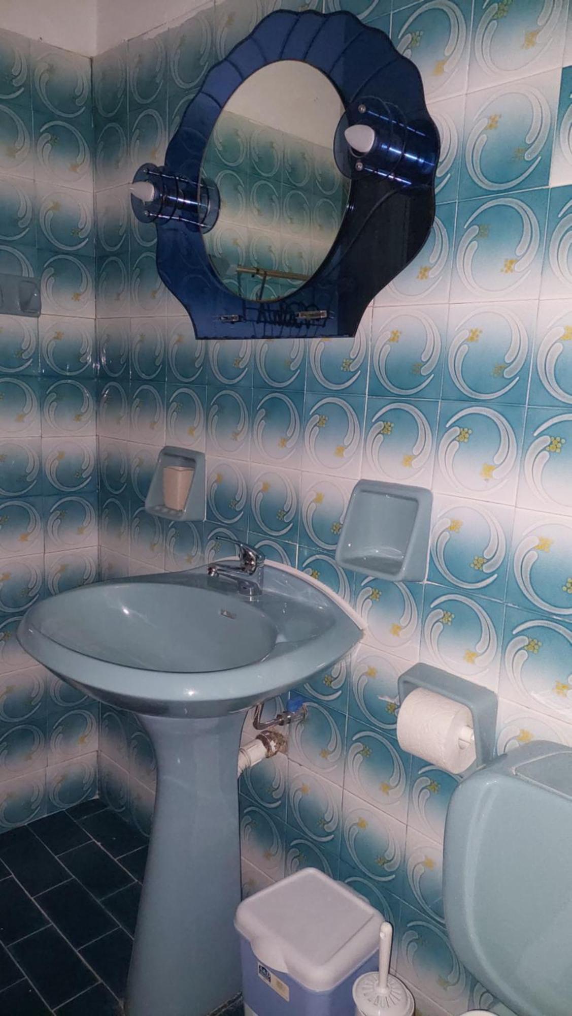 Apartment Dolphins