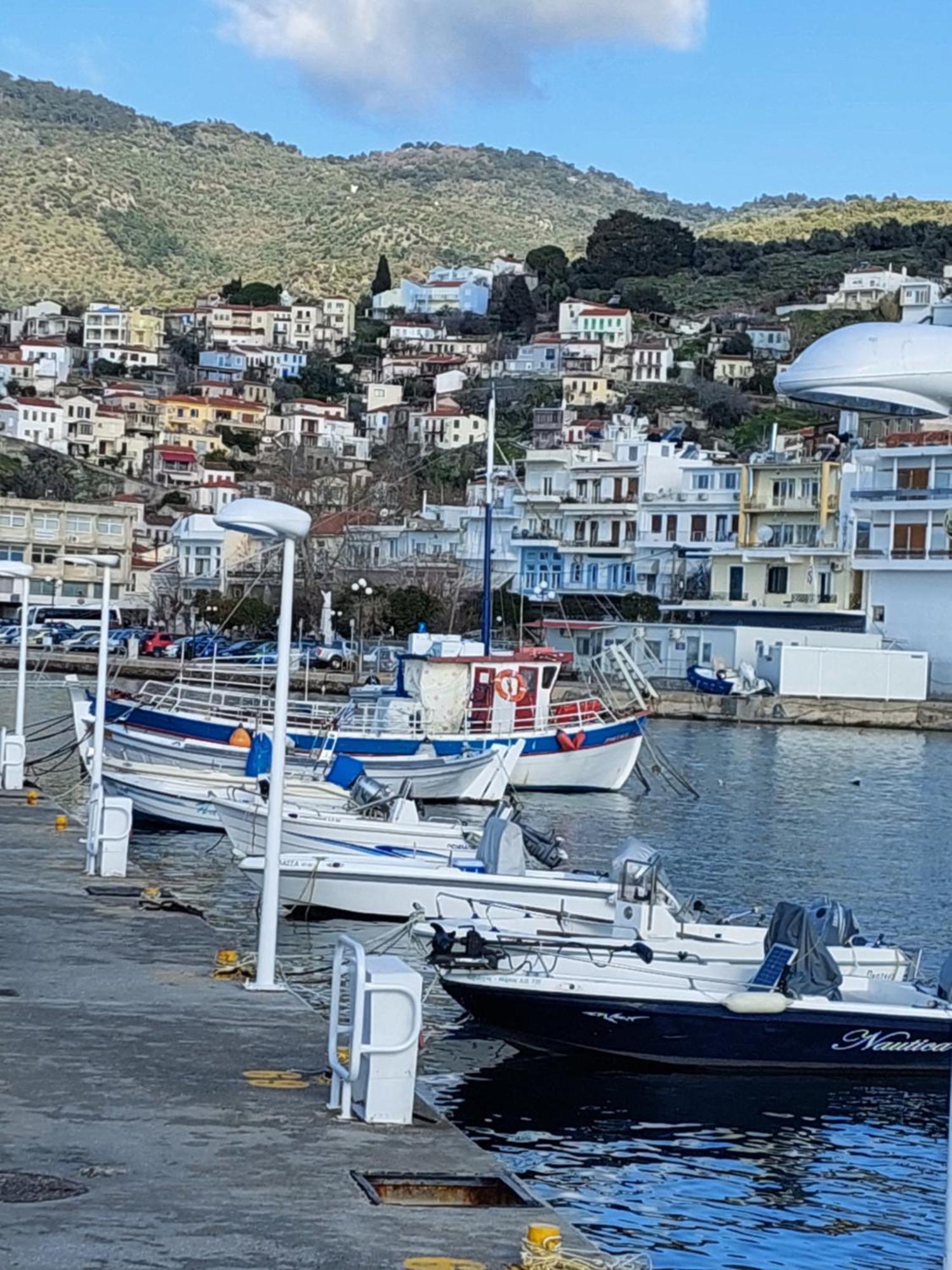 Dolphins Plomari