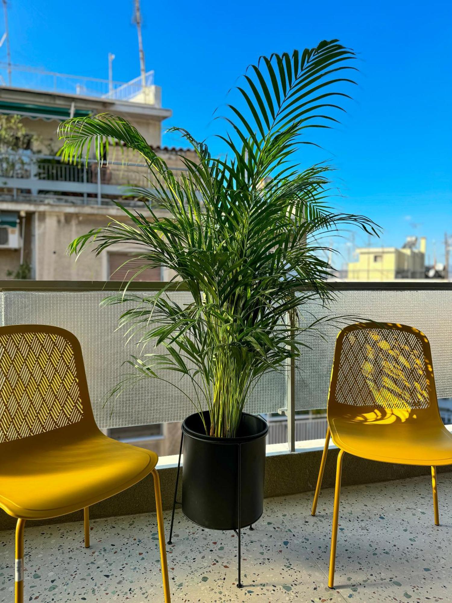 Luxury With Panoramic Views * Athens