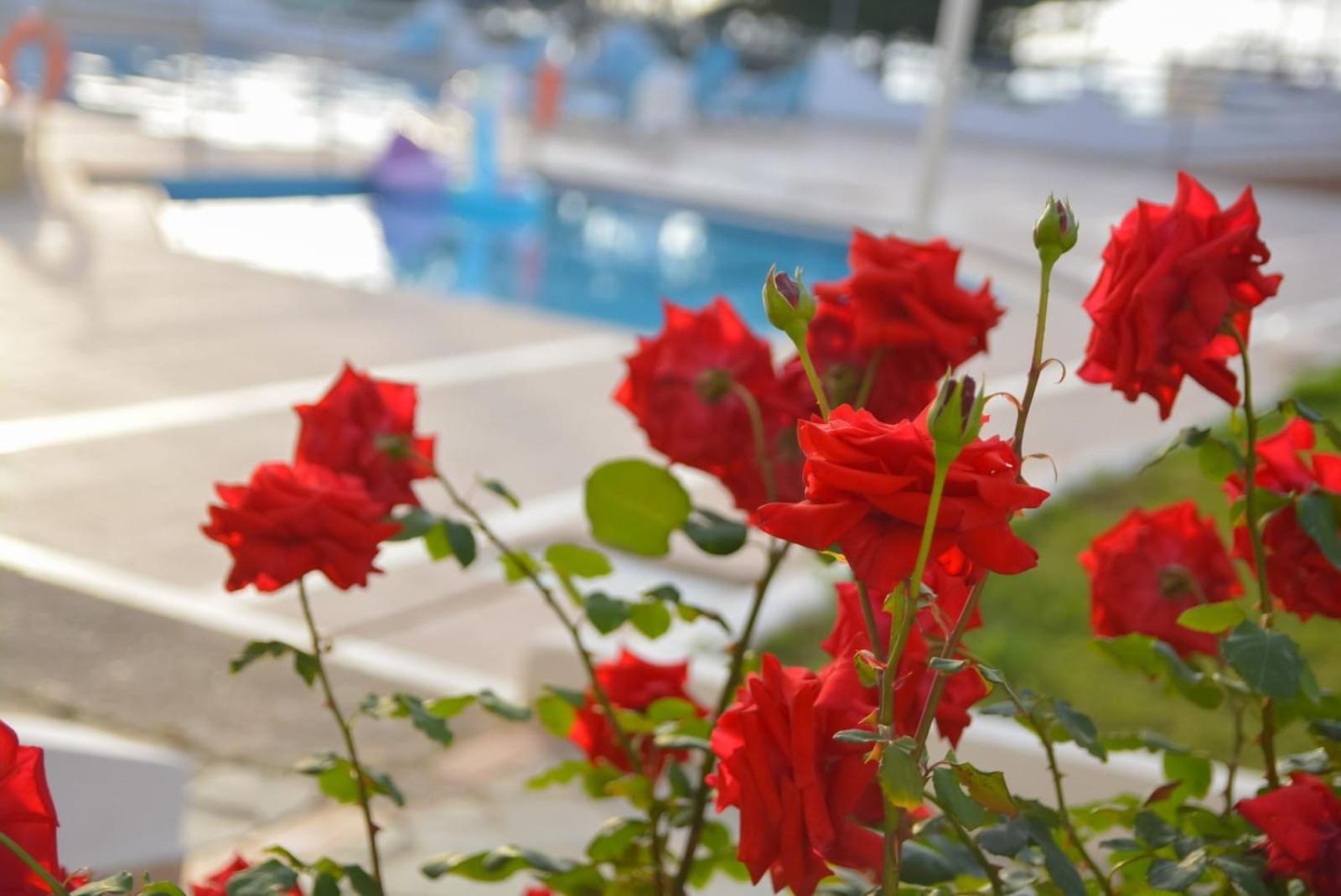 Adel Paradise Hotel 4*