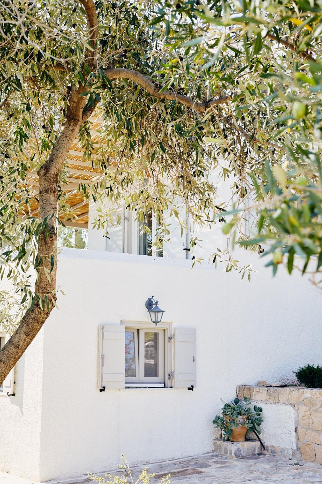 Adara, Splendide Avec Piscine Et Vue Villa Aegina