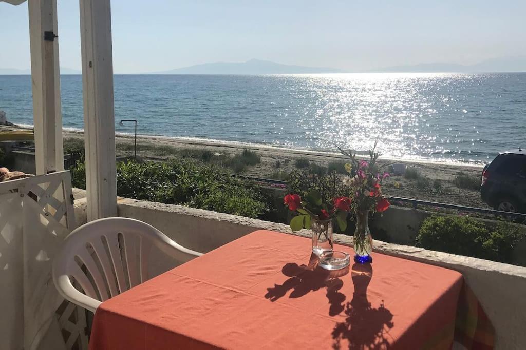 Holiday home House On The In Fourka Chalkidiki!