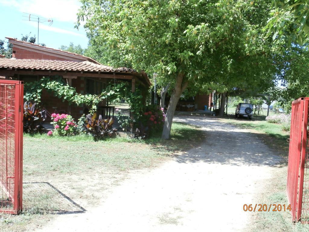 Perseus Apartment Skala Rachoni (Thasos)