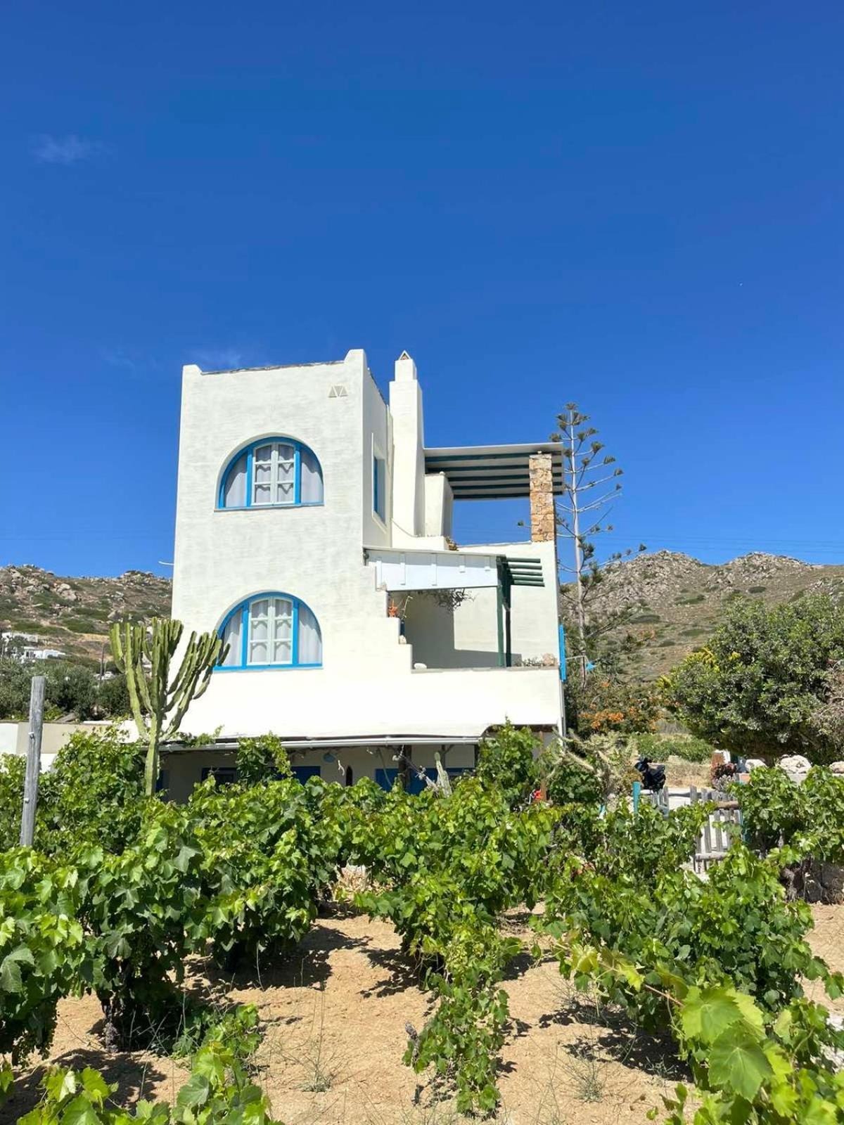 Matina's Vineyard *