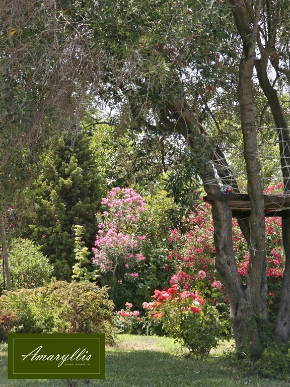 Apartment Amaryllis Summer Maisonettes Possidi