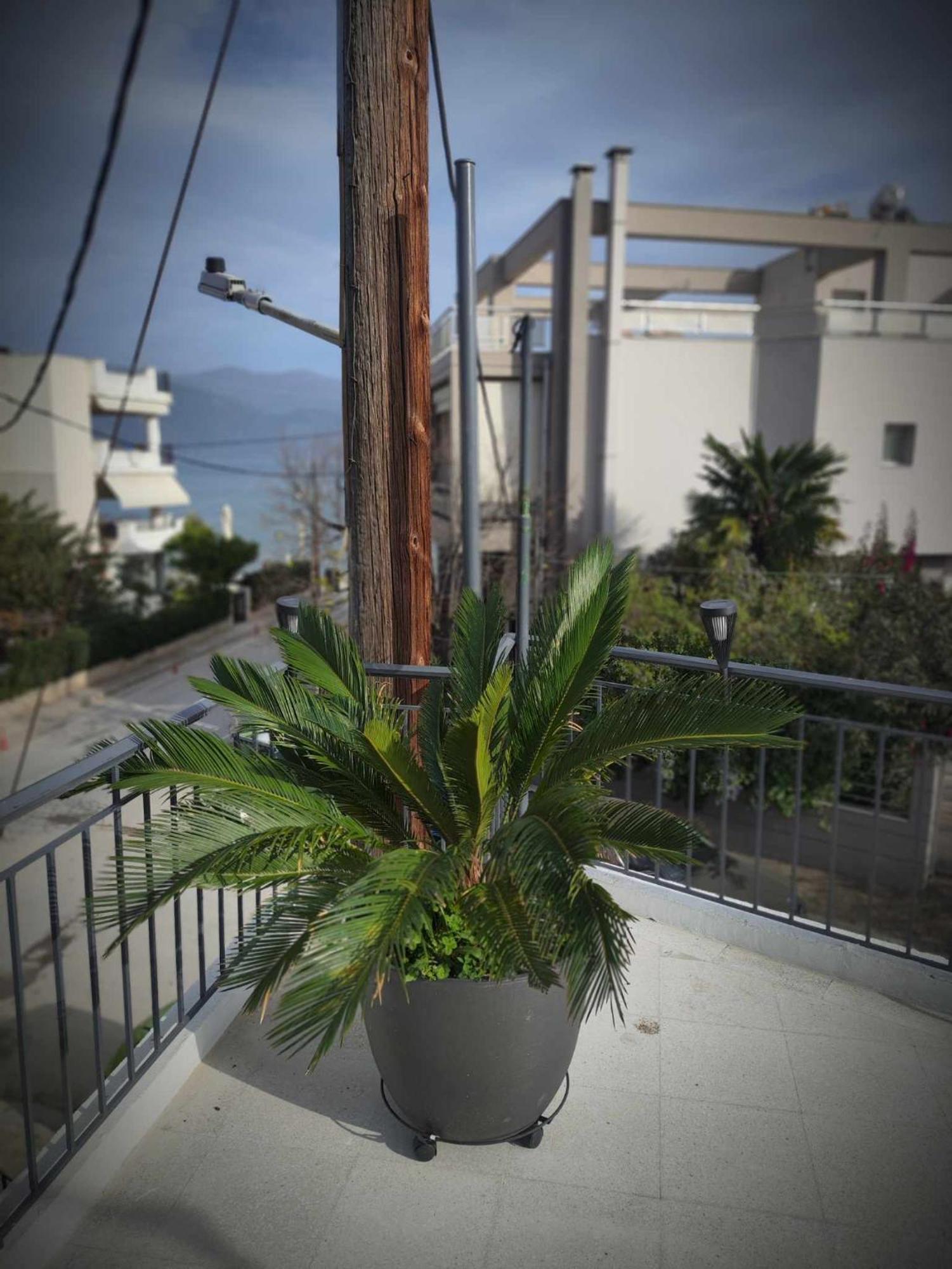 Zefi's House * Volos