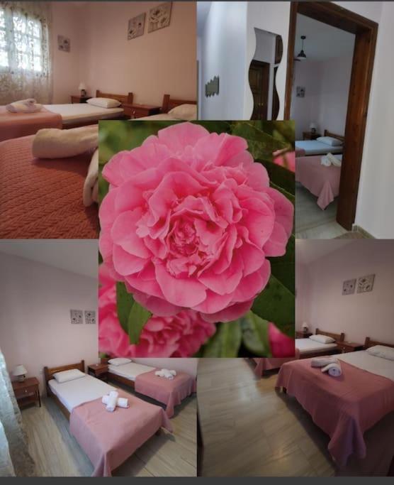 Luxury Apartment Nea Vrasna