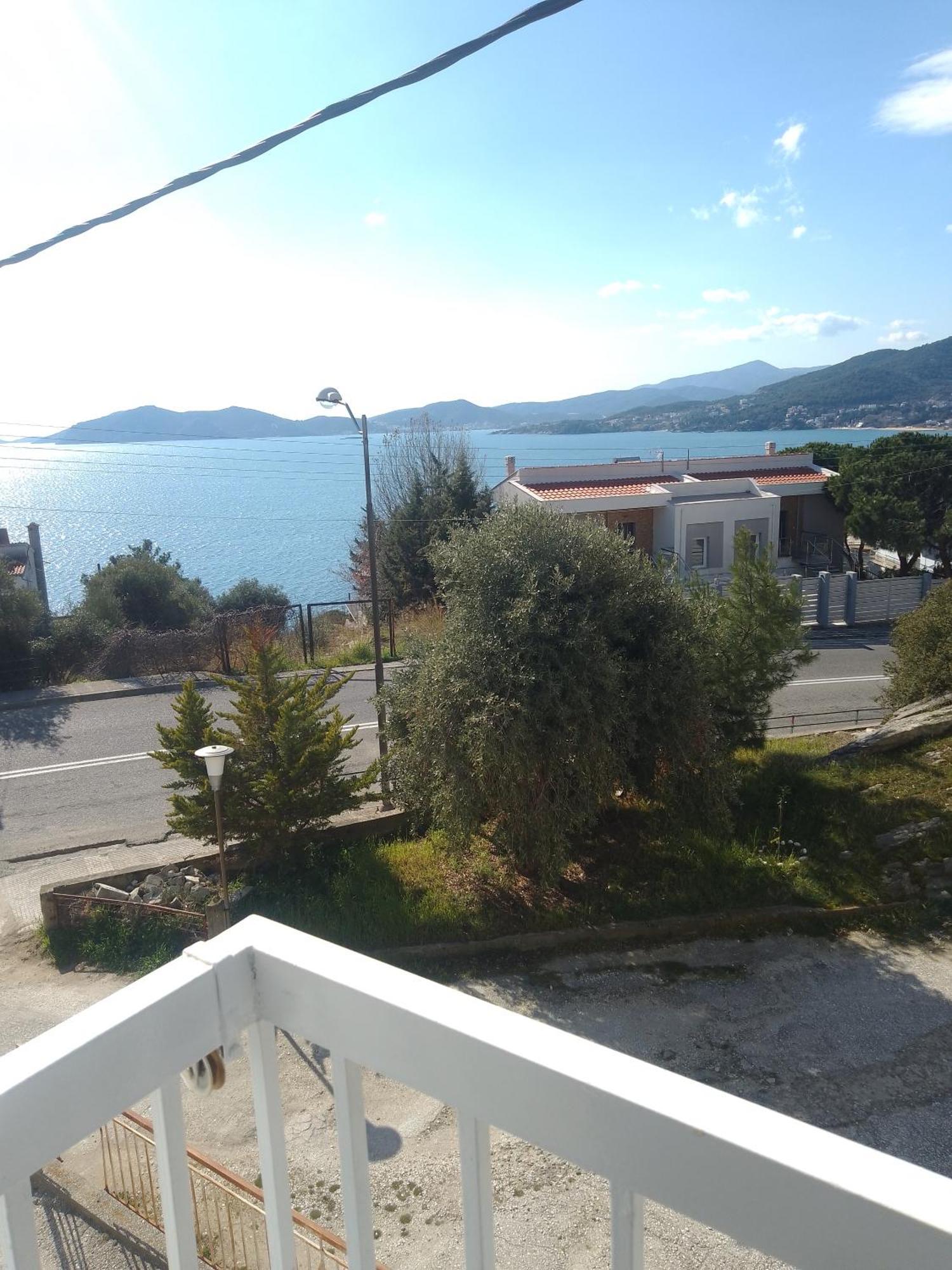Ana Maria Palaiontsiflikion
