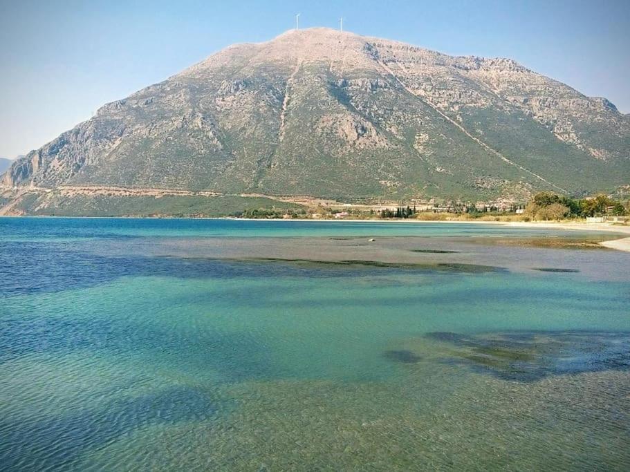 Rizaki In * Nafpaktos
