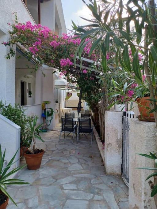 Apartment By The Sea-3-souvala,aigina