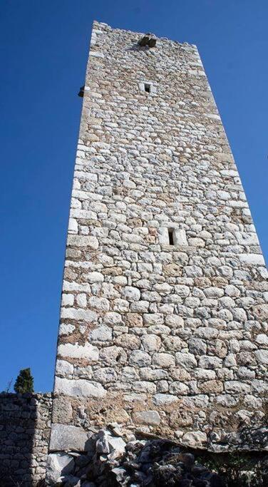 Poliana Tower Villa *