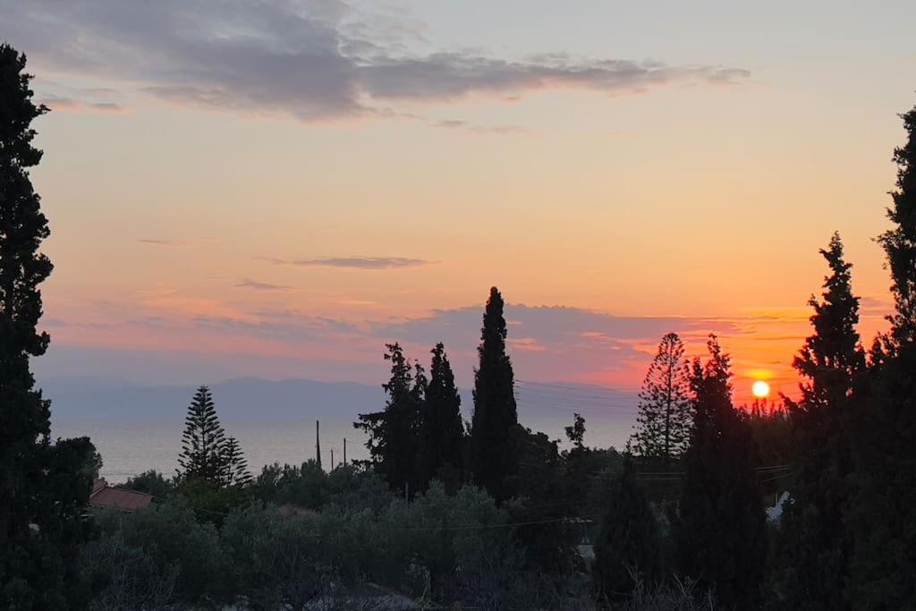 Oinoni Villa Aegina