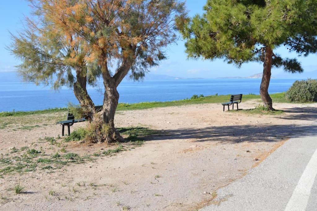 Oinoni * Aegina