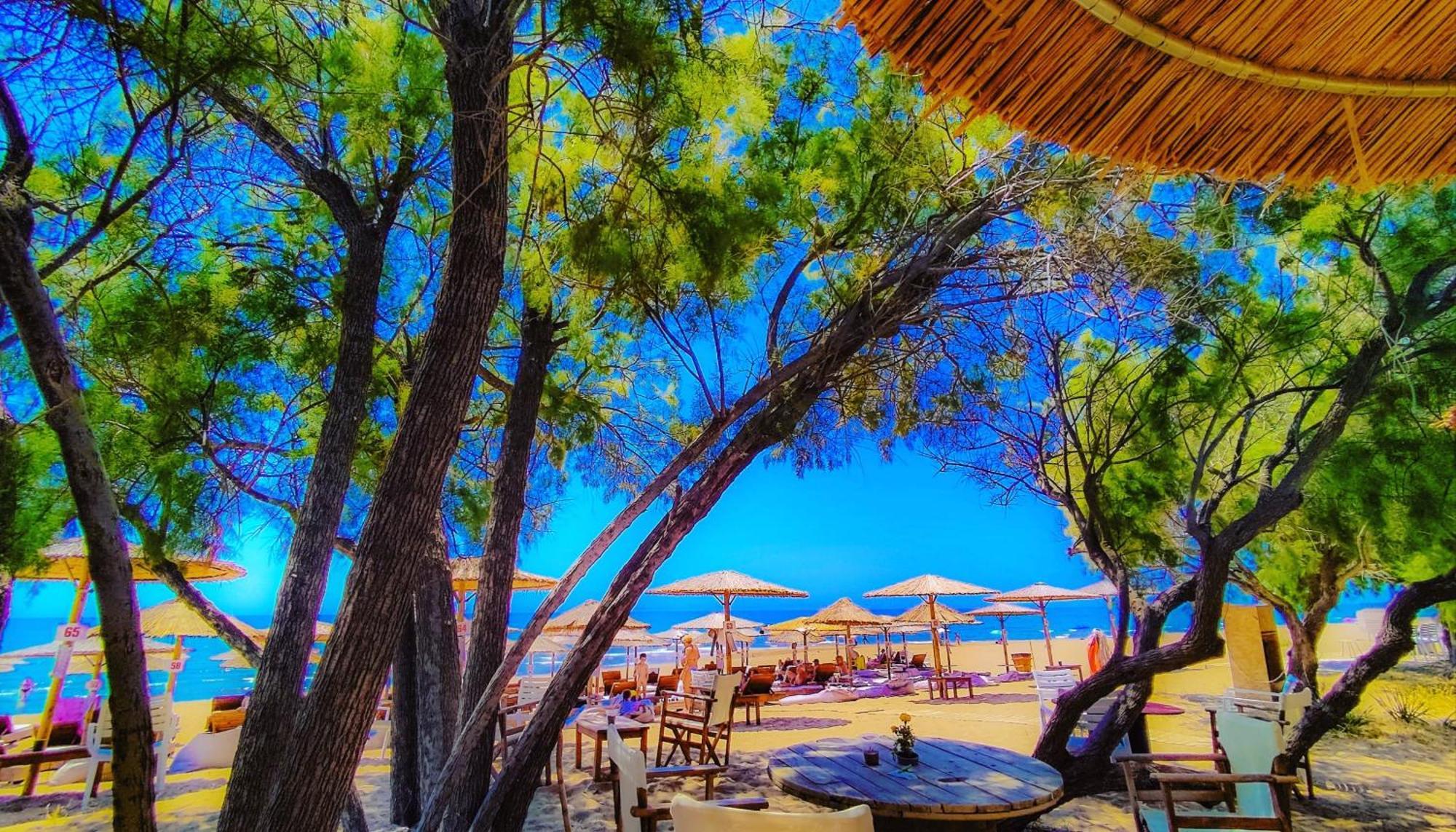 Your Spot West Peloponnese Shared Homestay Zacharo