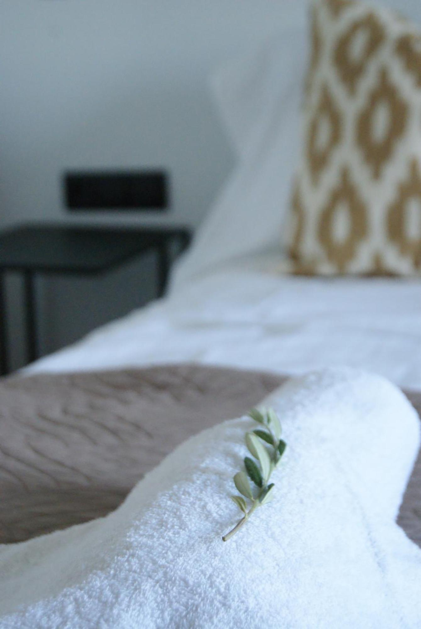 Thalia Bloom Aparthotel