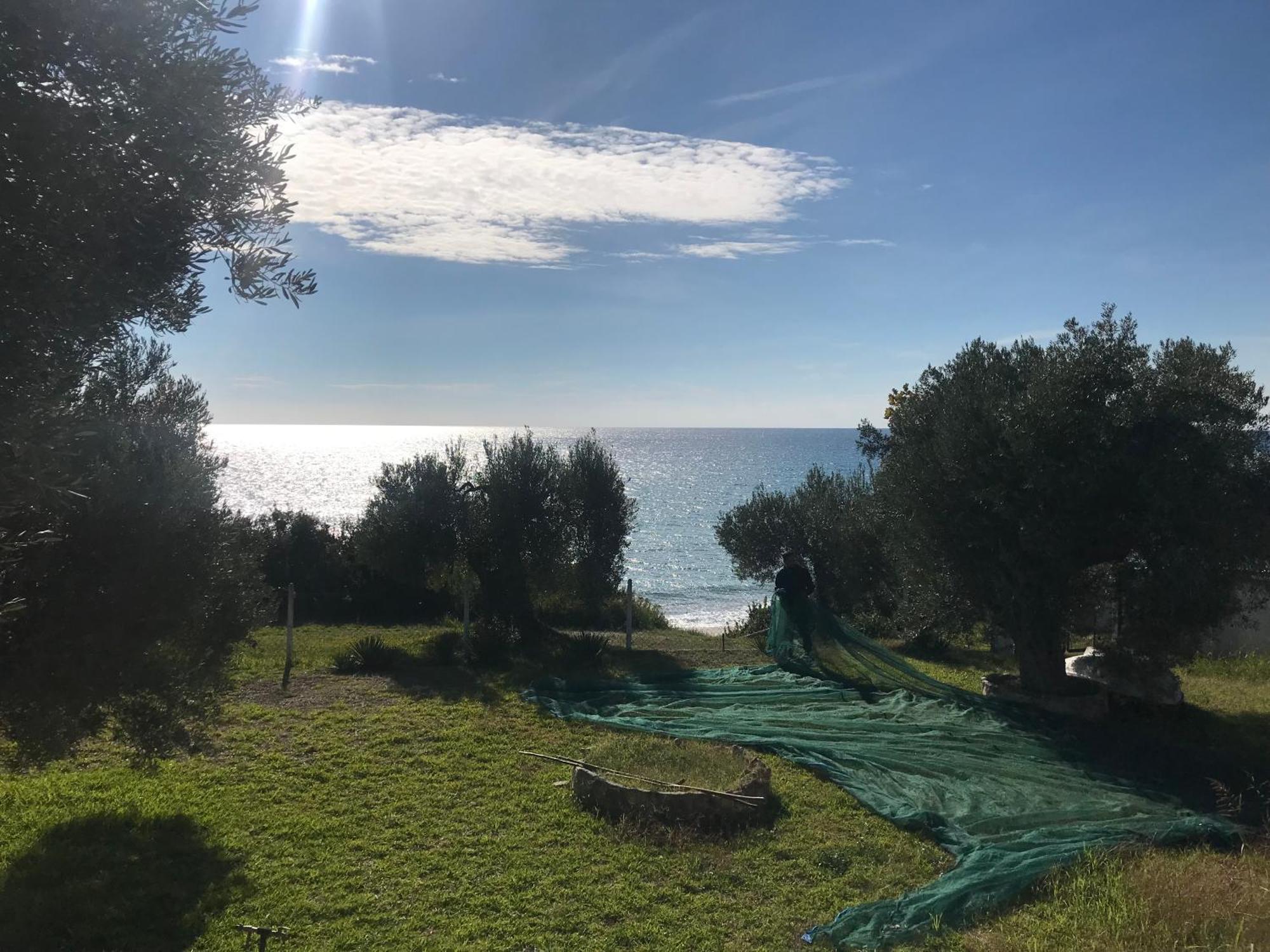 Mary's House By The Sea Holiday home Mola Kalyva