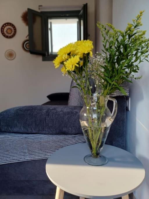 Nama Seaview Holiday home Kokkari
